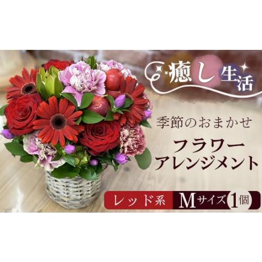 ふるさと納税 花・苗木 花束 茨城県 坂東市 （レッド系）Mサイズ 癒し生活 季節のおまかせフラワーアレンジメント ／ ギフト 記念日 お花 茨城県 No.486の画像