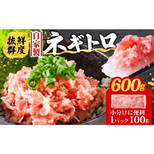 ふるさと納税 魚貝類 愛媛県 松山市 1週間程度で発送 ネギトロ 600g ( 100g×6パック ) 1週間程度で発送