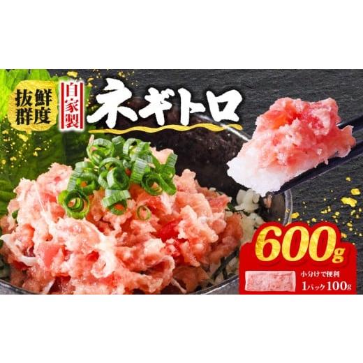 ふるさと納税 魚貝類 愛媛県 松山市 1月発送 ネギトロ 600g ( 100g×6パック ) 冷凍 小分け 1人前 パック 自家製 鮪 まぐろ マグロ ねぎトロ 赤身 小分け マ…