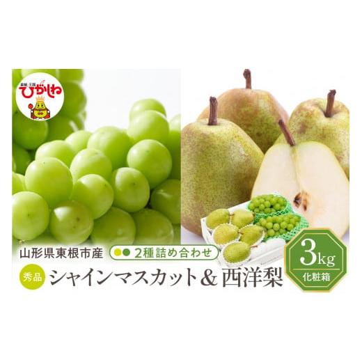 ふるさと納税 梨 山形県 東根市 2026年 東根市産 シャインマスカット&西洋梨 詰め合わせ 3kg 秀品 化粧箱入り 山形県 東根市 hi027-242