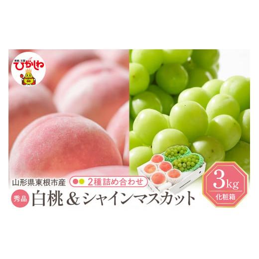 ふるさと納税 もも 山形県 東根市 2026年 東根市産 白桃(品種おまかせ)秀品&シャインマスカット詰め合わせ 化粧箱入り3kg 山形県 東根市 hi027-238