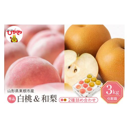 ふるさと納税 もも 山形県 東根市 2026年 東根市産 白桃(品種おまかせ)&和梨 詰め合わせ 3kg 秀品 化粧箱入り 山形県 東根市 hi027-240