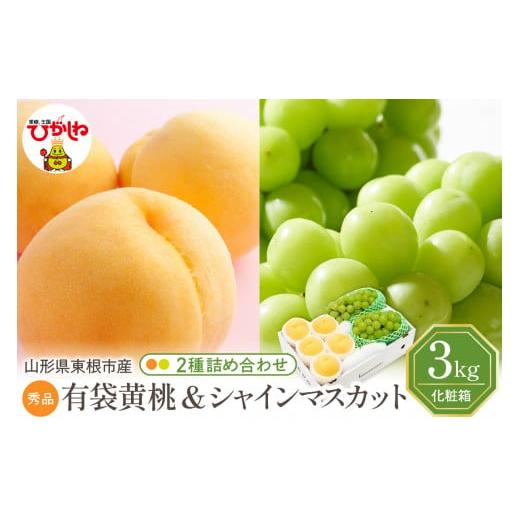 ふるさと納税 もも 山形県 東根市 2026年 東根市産 有袋黄桃(品種おまかせ)&シャインマスカット 詰め合わせ 3kg 秀品 化粧箱入り 山形県 東根市 hi027-239