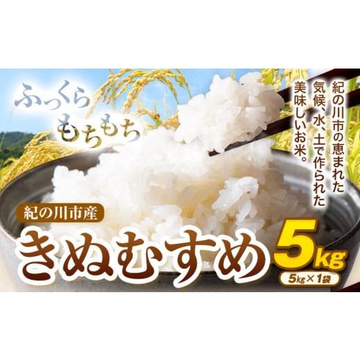 ふるさと納税 米 きぬむすめ 和歌山県 紀の川市 令和7年産 きぬむすめ 5kg (5kg×1袋) 上野商店[30日以内に出荷予定(土日祝除く)]和歌山県 紀の川市 米 白米…