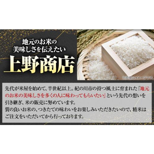 ふるさと納税 和歌山県 紀の川市 令和5年産 きぬむすめ 10kg (5kg×2袋) 上野商店《30日以内に出荷予定(土日祝除く)》和歌山県 紀の川市 米 白米｜furusatochoice｜03