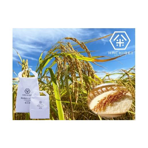 ふるさと納税 無洗米 新潟県 阿賀野市 令和7年産新米 グッドライフアワード環境大臣賞受賞 3ヶ月定期便 無洗米 コシヒカリ 5kg×3回 計15kg 農家直送 ほんの…