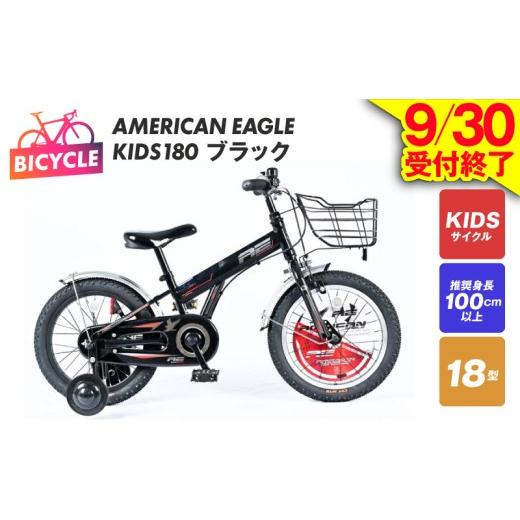 ふるさと納税 自転車 シティサイクル 大阪府 泉佐野市 AMERICAN EAGLE 