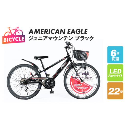 ふるさと納税 自転車 シティサイクル 大阪府 泉佐野市 AMERICAN EAGLE ジュニアマウンテン22 ブラック 自転車 完成品 組み立て不要 アウトドア サイクリング …の画像