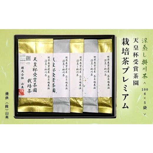 ふるさと納税 静岡県 掛川市 1884 (2)令和5年度産:今すぐ発送 天皇杯受賞茶園 栽培茶プレミアム 100g×5袋・計500g (?新茶・令和6年5月中旬よ…