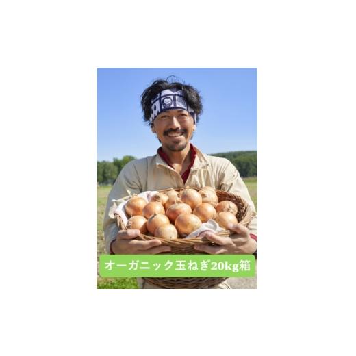 ふるさと納税 野菜類 玉ねぎ 北海道 訓子府町 UNO ORGANIC FARM 北海道訓子府産 オーガニック玉ねぎ 20kg  有機JAS認証 1455254の画像