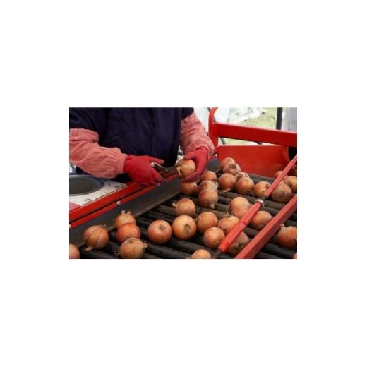 ふるさと納税 野菜類 玉ねぎ 北海道 訓子府町 UNO ORGANIC FARM 北海道訓子府産 オーガニック玉ねぎ 20kg  有機JAS認証 1455254の画像