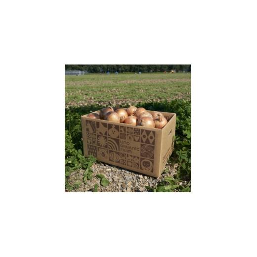 ふるさと納税 野菜類 玉ねぎ 北海道 訓子府町 UNO ORGANIC FARM 北海道訓子府産 オーガニック玉ねぎ 5kg  有機JAS認証 1455313の画像