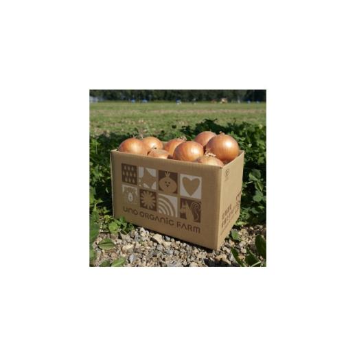 ふるさと納税 野菜類 玉ねぎ 北海道 訓子府町 UNO ORGANIC FARM 北海道訓子府産 オーガニック玉ねぎ 3kg  有機JAS認証 1455333の画像