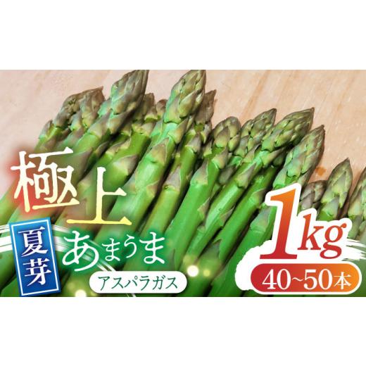 ふるさと納税 野菜類 アスパラガス 熊本県 山鹿市 2026年 5〜9月配送 極上あまうま 夏芽 アスパラガス M〜L 1kg (40〜50本) Nature-falo アスパラ 野菜 熊…
