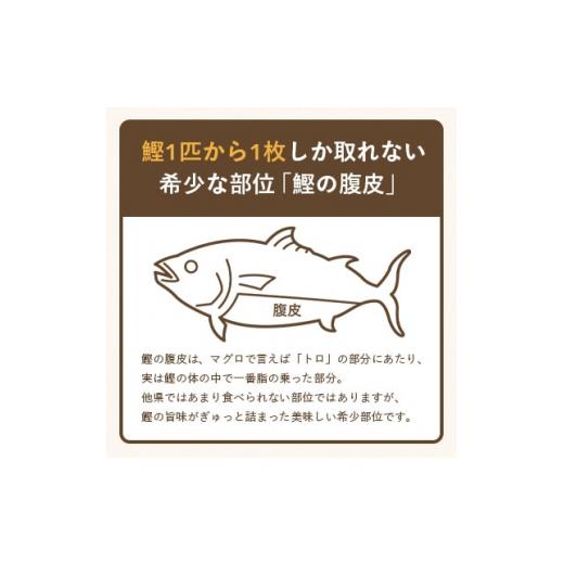 ふるさと納税 鹿児島県 枕崎市 枕崎カレー(180g×5パック)＜おうちでご当地カレー＞ AA-859【1166514】｜furusatochoice｜04