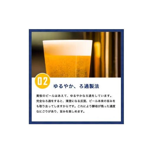 ふるさと納税 京都府 京都市 【黄桜】クラフトビール 「悪魔のビール ホワイトエール」（350ml缶×24本） 