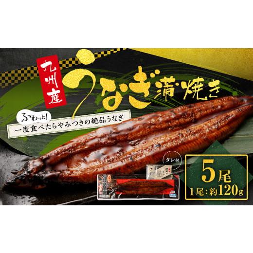 ふるさと納税 うなぎ 鹿児島県 薩摩川内市 CS-306-03 通年受付 九州産うなぎ蒲焼き 5尾 合計約600g(約120g×5尾) タレ付 通年受付