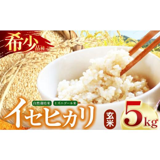 ふるさと納税 玄米 長野県 塩尻市 令和7年産 自然栽培 イセヒカリ 5kg 玄米 長野県産 | 米 イセヒカリ 希少 自然栽培 白米 玄米 コメ お米 おこめ 信州米 5kg…