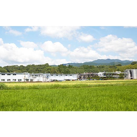 超特盛ミラクルプライス ふるさと納税 熊本県 多良木町 【年内発送】 白岳 ・厳選一升瓶 1800ml × 6本セット 計10.8L ＜白岳4種・肥後時習館・待宵＞ 018-0476 【A8251821919】(29070円)