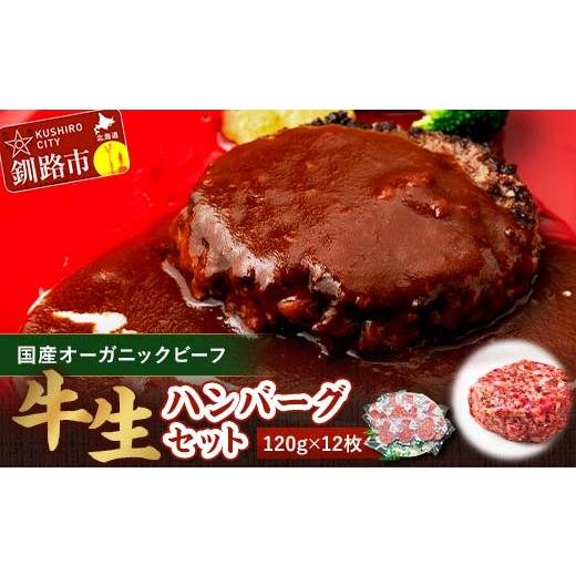 ふるさと納税 牛肉 ハンバーグ 北海道 釧路市 12月発送 生ハンバーグ120g×12枚 釧路生まれ、釧路育ちのオーガニックビーフ F4F-3512 12月発送