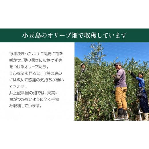 ふるさと納税 美容 香川県 小豆島町  井上誠耕園 〜2025年初搾り〜 化粧用小豆島産エキストラヴァージンオリーブオイル (20ml×2本)_3