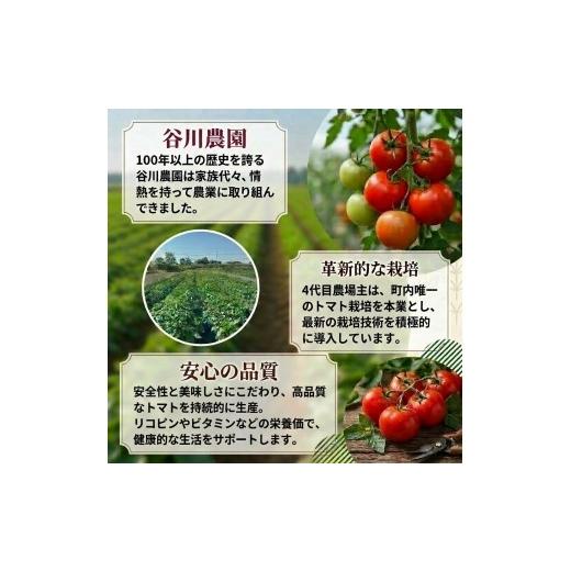 ふるさと納税 野菜類 ジュース 北海道 安平町  3ヵ月毎定期便 谷川農園の桃太郎トマトジュース 180ml×12本 全2回 4005480の画像