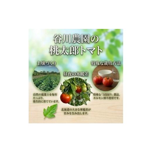 ふるさと納税 野菜類 ジュース 北海道 安平町  3ヵ月毎定期便 谷川農園の桃太郎トマトジュース 180ml×12本 全2回 4005480の画像