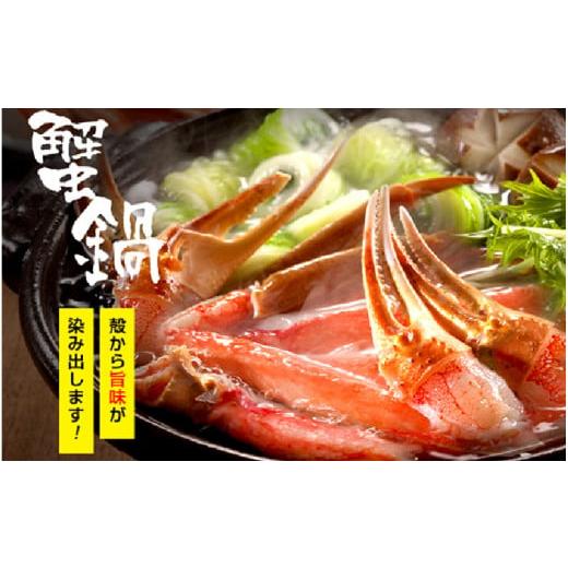 ふるさと納税 福井県 敦賀市 《12月11日〜20日発送》ますよね商店の元祖カット済み生ずわい蟹1.2kg（総重量1.6kg）【生食可】【 増米 ますよね 敦賀 かに カニ… 2kg 総重量1 6kg