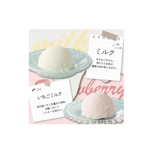 ふるさと納税 アイス・ヨーグルト ジェラート 佐賀県 玄海町 松本牧場アイス定期便 本格ジェラートファミリーセット（500ml×4個×2回）全6種類 生乳 アイス …の画像