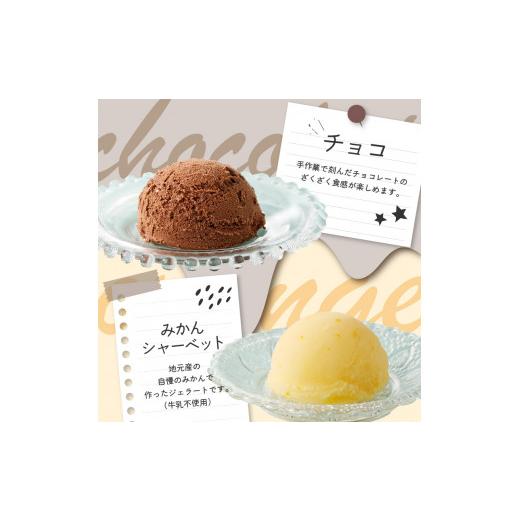 ふるさと納税 アイス・ヨーグルト ジェラート 佐賀県 玄海町 松本牧場アイス定期便 本格ジェラートファミリーセット（500ml×4個×2回）全6種類 生乳 アイス …の画像