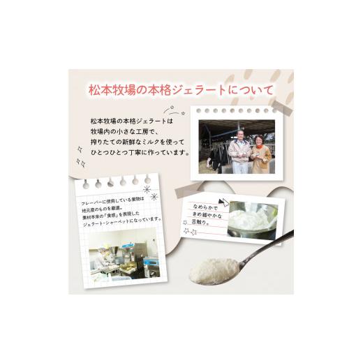 ふるさと納税 アイス・ヨーグルト ジェラート 佐賀県 玄海町 松本牧場アイス定期便 本格ジェラートファミリーセット（500ml×4個×2回）全6種類 生乳 アイス …の画像