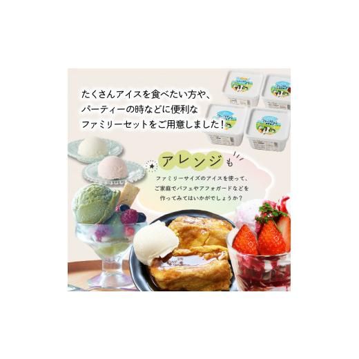 ふるさと納税 アイス・ヨーグルト ジェラート 佐賀県 玄海町 松本牧場アイス定期便 本格ジェラートファミリーセット（500ml×4個×2回）全6種類 生乳 アイス …の画像