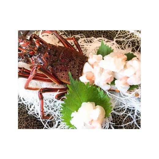 ふるさと納税 三重県 熊野市 【 年内配送可能 】 水谷水産 活き 伊勢海老 約800グラム入り （3〜4尾）おせち お刺身 伊勢エビ 伊勢えび イセエビ 