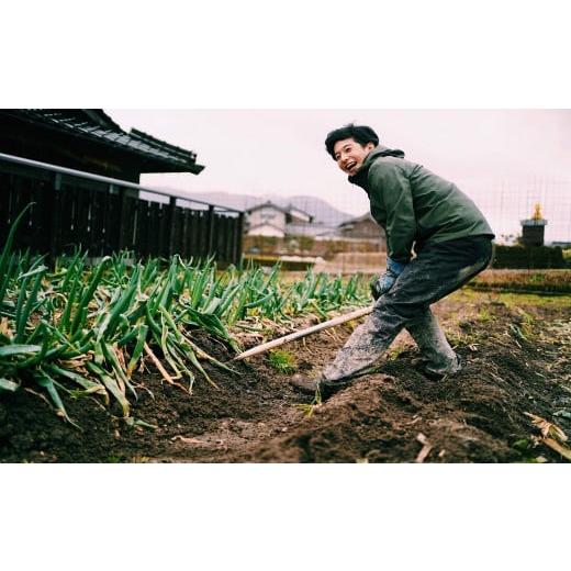 ふるさと納税 野菜類 ねぎ 兵庫県 朝来市 冬季限定 知る人ぞ知るご当地ねぎ 朝来市特産の土付き岩津ねぎ3kg(箱入り) 5996849 岩津ねぎ 岩津ネギ 掘りたて 新…