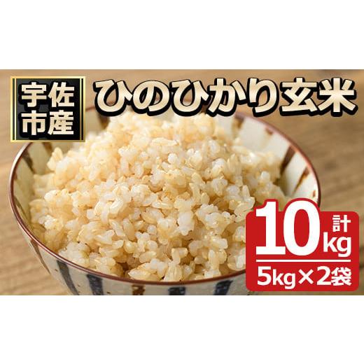 ふるさと納税 米 大分県 宇佐市 先行予約受付中 2025年11月中旬以降順次発送予定 令和7年産・新米 ひのひかり 玄米(計10kg)お米 10キロ ヒノヒカリ 真空パッ…