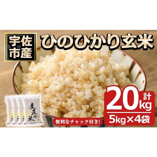 ふるさと納税 米 大分県 宇佐市 令和7年産 ひのひかり 玄米(計20kg)お米 20キロ ヒノヒカリ 真空パック 真空包装 114900600 祥田産業 玄米 20kg