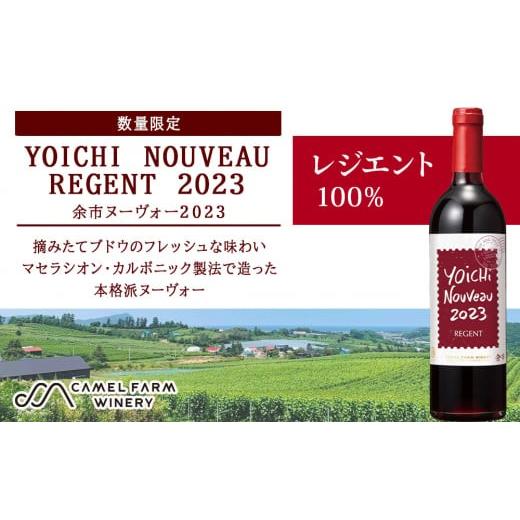 ふるさと納税 お酒 北海道 余市町 ヨイチヌーヴォーレジェント2023<キャメルファーム> 国産 キャメル カルディ おすすめワイン 余市のワイン 北海道のワ…
