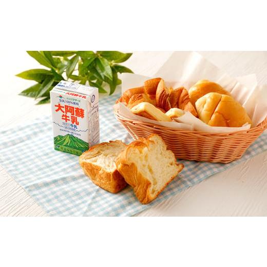 ふるさと納税 飲料類 乳飲料 熊本県 高森町  1ヶ月毎3回定期便 大阿蘇牛乳 250ml 計72本（24本×3回） 計18L_2