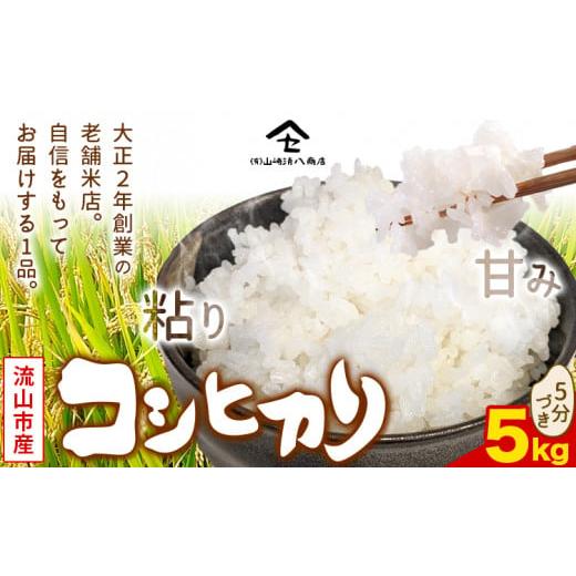 ふるさと納税 米 コシヒカリ 千葉県 流山市 コシヒカリ 米 5kg 新川耕地 5分づき[30日以内に発送予定(土日祝除く)] 単発 千葉県 流山市 送料無料 米 こめ ご…