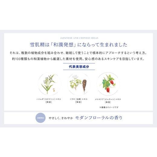 ふるさと納税 美容 乳液 群馬県 伊勢崎市 ＼最短7営業日以内