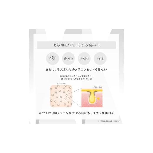 ふるさと納税 化粧水・乳液 美容液・クリーム 群馬県 伊勢崎市 最短7