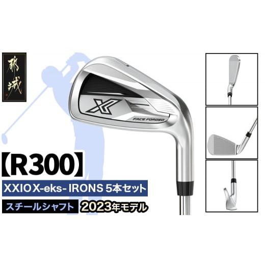 ふるさと納税 ゴルフグッズ クラブ 宮崎県 都城市 ゼクシオ エックス アイアン 5本セット スチールシャフト R300 2023年モデル _ZX-C704-R_(都城市) ゴルフク…