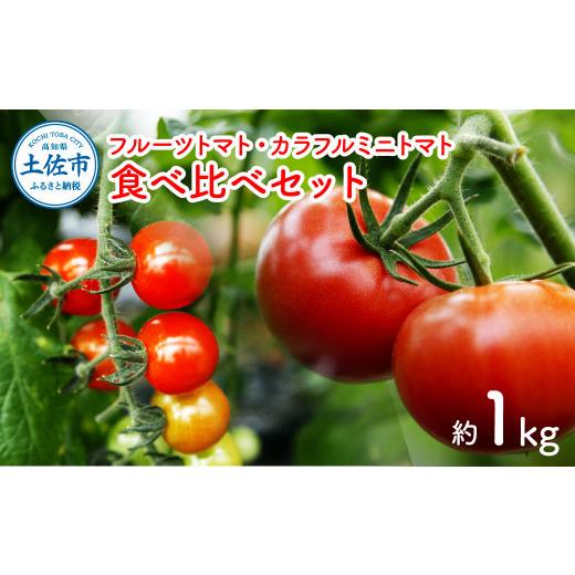 ふるさと納税 野菜類 トマト 高知県 土佐市 先行予約 フルーツトマト食べくらべセット 約1kg [2027年1月下旬から順次発送]トマト フルーツトマト ミニトマ…
