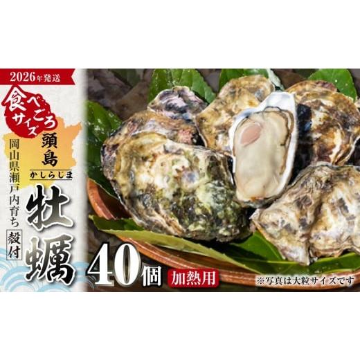 ふるさと納税 牡蠣 生牡蠣 岡山県 備前市 2026年発送 日生頭島殻付牡蠣「海の恵」食べごろサイズ40個 生鮮 牡蠣 日生産 ひなせ カキ かき 海のミルク 加熱用