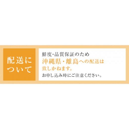 ふるさと納税 山梨県 甲州市 甲州市産シャインマスカット 優等品 2〜3房 約1kg【2024年発送】（HNT）A09-411｜furusatochoice｜09