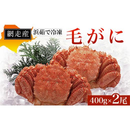 ふるさと納税 北海道 網走市 網走産 浜茹で冷凍毛がに400g×2尾 【 ふるさと納税 人気 おすすめ ランキング 毛蟹 毛ガニ 毛がに かに味噌 カニみそ 冷凍 北海…｜furusatochoice｜02