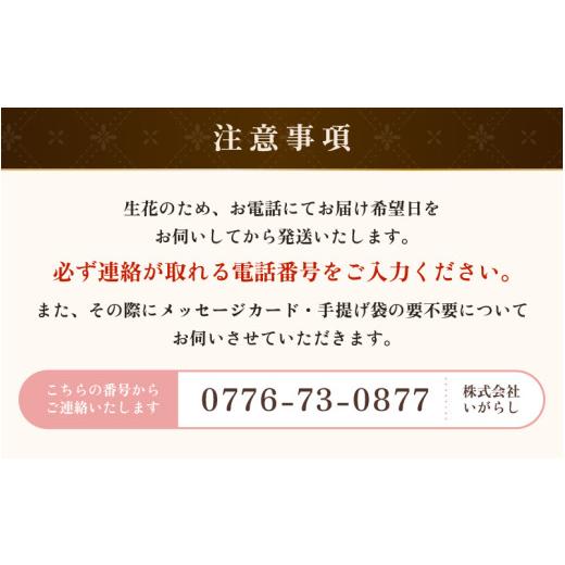 ふるさと納税 雑貨・日用品 花 福井県 あわら市 気分を変える花ギフト -Emma- (花束・アプリコット) aw062-a006_06 花束・アプリコット_7