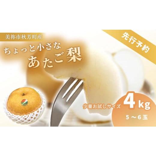 ふるさと納税 梨 山口県 美祢市 数量限定 ちょっと小さな あたご梨 4kg | 梨 あたご なし フルーツ 果物 くだもの BIG ビッグ 大きい 特産品 美祢市 山口県 …