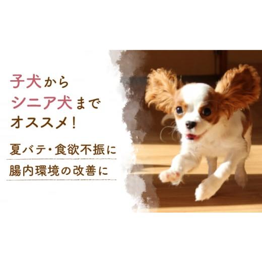 ふるさと納税 熊本県 山鹿市 【3回定期便】ワンワン 甘酒 犬 用  （濃縮タイプ） 便利な スタンドパック入り 190g×3【有限会社 木屋食品工業】愛犬 ペット 熊…｜furusatochoice｜03