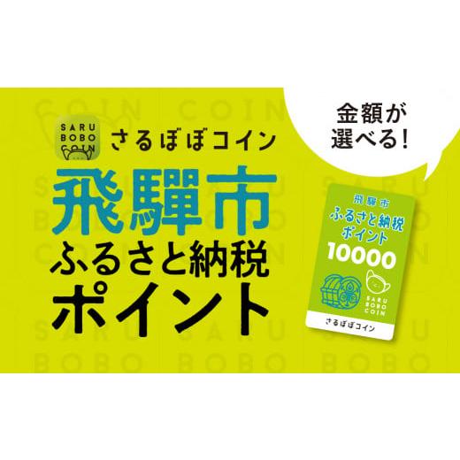 ふるさと納税 地元のお買物券 岐阜県 飛騨市 年内発送 さるぼぼコイン 飛騨市ふるさと納税ポイント 3,000pt 年内配送 年内発送 12月お届け 12月 寄附金額10,…